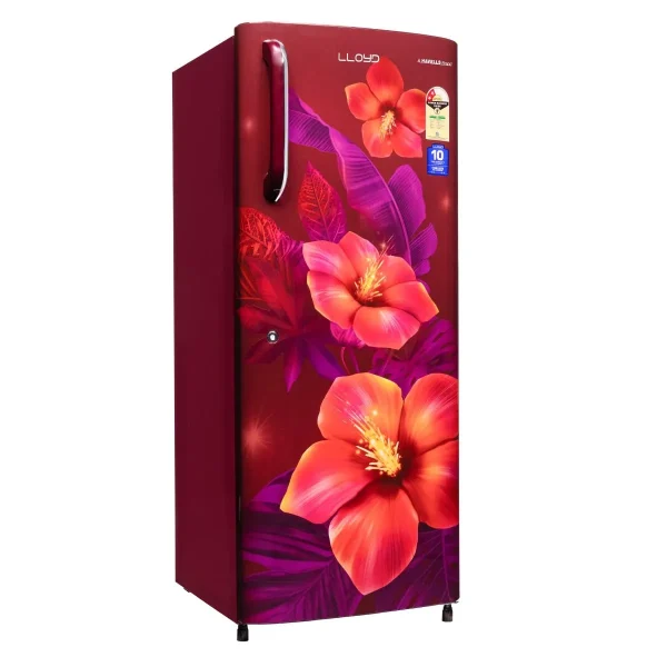 Lloyd 215L 2 Star Direct Cool Refrigerator