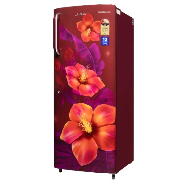Lloyd 215L 2 Star Direct Cool Refrigerator